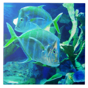 Tropische vis, blauw, keramische Tegel Tegeltje