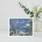 Tropische vis briefkaart (Staand voorkant)