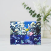 Tropische vis briefkaart (Staand voorkant)