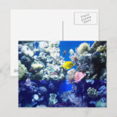 Tropische vis briefkaart (Voorkant / Achterkant)