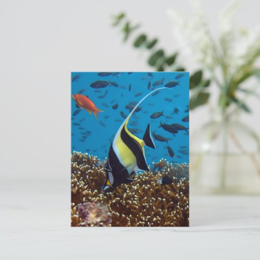 Tropische vis briefkaart (Staand voorkant)