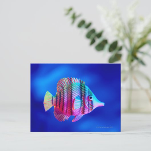 Tropische vis briefkaart (Staand voorkant)