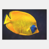 Tropische vis drie vel inpakpapier (Voorkant 2)