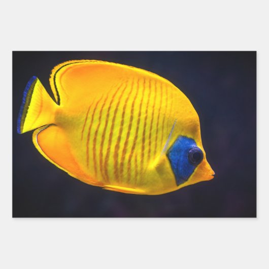 Tropische vis drie vel inpakpapier (Voorkant 2)