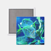 Tropische vis in blauw magneet (Voorkant / Achterkant)