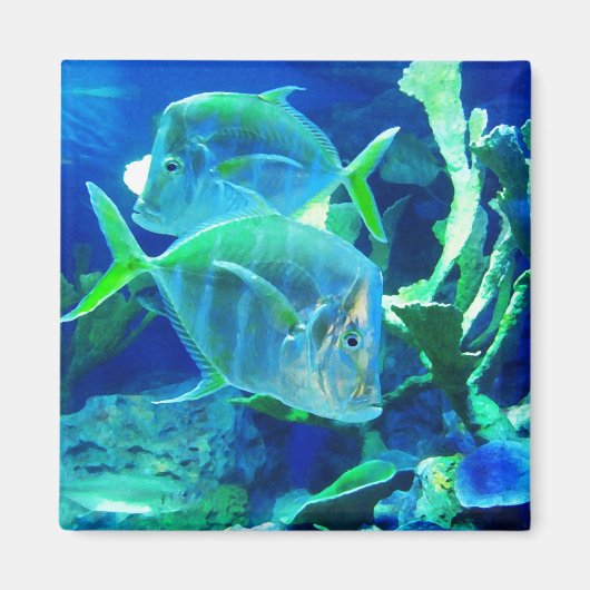 Tropische vis in blauw magneet (Voorkant)