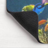 Tropische vis in Hawaiian Muismat (Hoek)