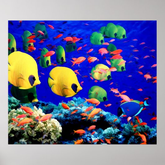 Tropische vis in koraal Zee Poster (Voorkant)