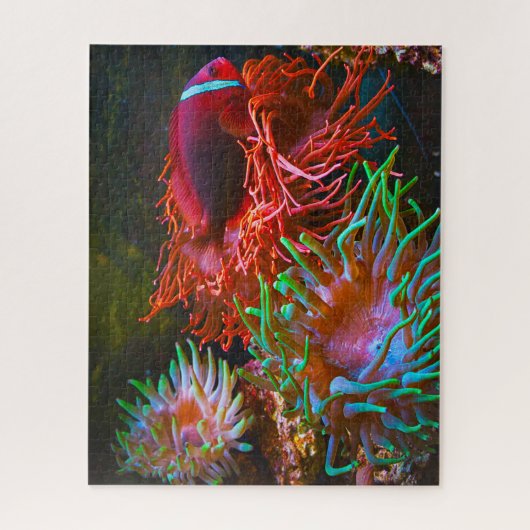 Tropische vis legpuzzel (Verticaal)