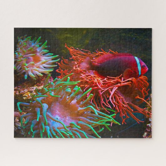 Tropische vis legpuzzel (Horizontaal)