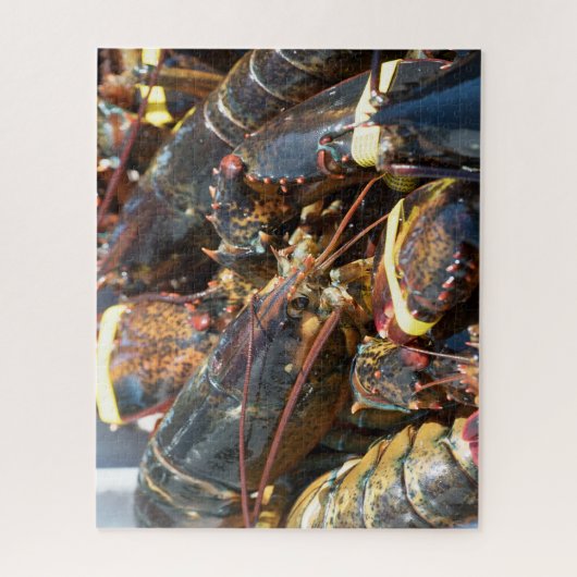 Tropische vis legpuzzel (Verticaal)