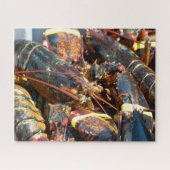 Tropische vis legpuzzel (Horizontaal)