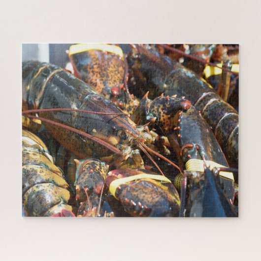 Tropische vis legpuzzel (Horizontaal)