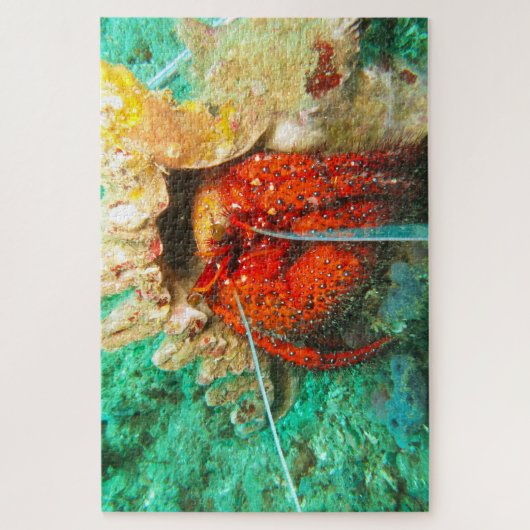 Tropische vis legpuzzel (Verticaal)