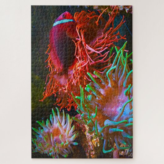 Tropische vis legpuzzel (Verticaal)