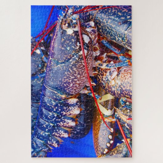 Tropische vis legpuzzel (Verticaal)