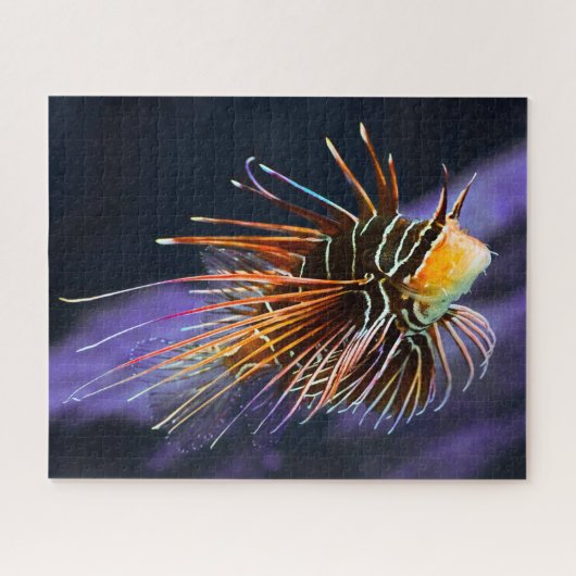 Tropische vis legpuzzel (Horizontaal)