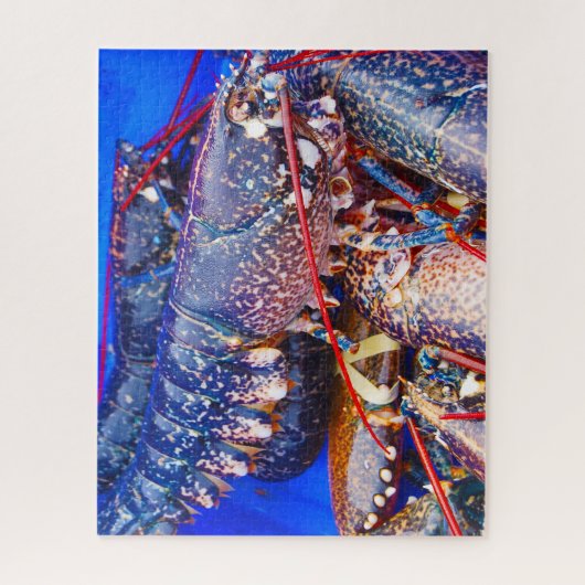 Tropische vis legpuzzel (Verticaal)