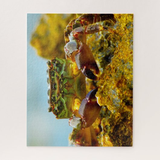 Tropische vis legpuzzel (Verticaal)