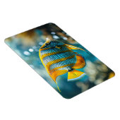 Tropische vis magneet (Rechterzijde)