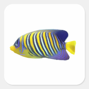 Tropische vis met gele en blauwe streep vierkante sticker