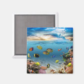 Tropische vis onderwater koraalrif magneet (Voorkant / Achterkant)