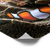 Tropische vis onderwater koraalrif poster (Hoek)