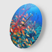 Tropische vis onderzeese koraalrif grote klok (Hoek)