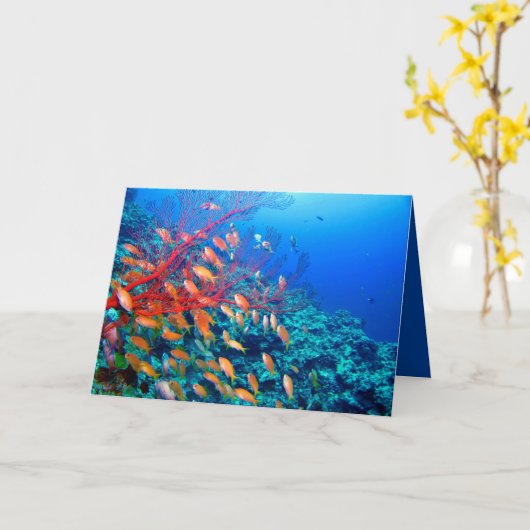 Tropische vis onderzeese koraalrif kaart (Gele Bloem)