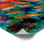 Tropische vis onderzeese koraalrif poster (Hoek)