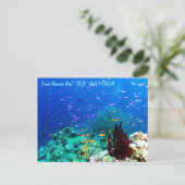Tropische vis op het Great Barrier Reef Briefkaart (Staand voorkant)