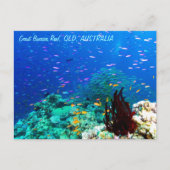 Tropische vis op het Great Barrier Reef Briefkaart (Voorkant)