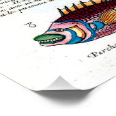 Tropische vis perfect poster (Hoek)