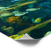 Tropische vis Poster (Hoek)