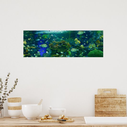 Tropische vis Poster (Keuken)