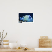 Tropische vis poster (Keuken)