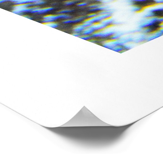 Tropische vis poster (Hoek)