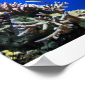 Tropische vis poster (Hoek)