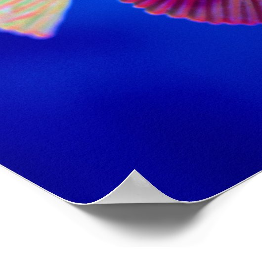 Tropische vis poster (Hoek)