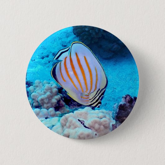 Tropische vis ronde button 5,7 cm (Voorkant)