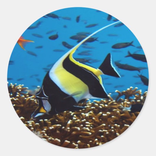 Tropische vis ronde sticker (Voorkant)