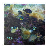 Tropische vis tegeltje (Voorkant)