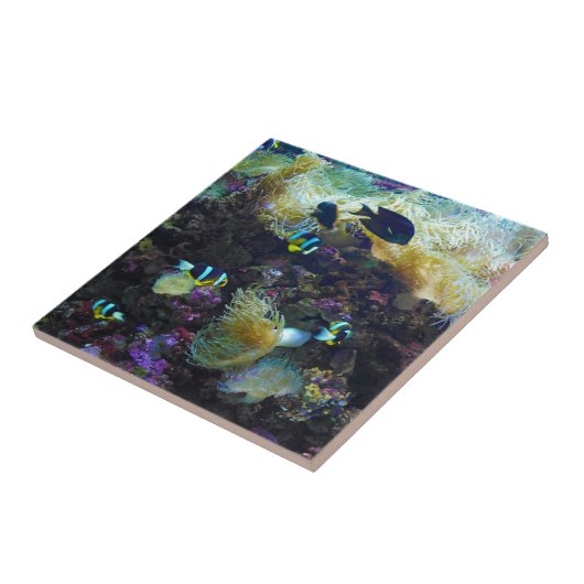 Tropische vis tegeltje (Zijkant)