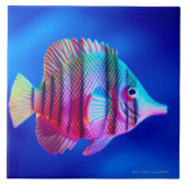 Tropische vis tegeltje (Voorkant)