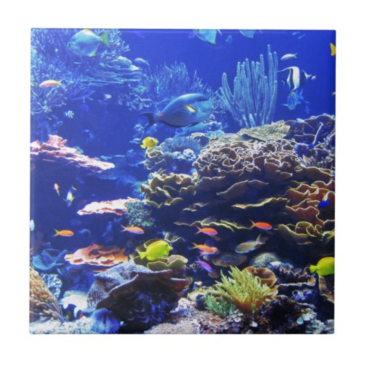 Tropische vis tegeltje (Voorkant)