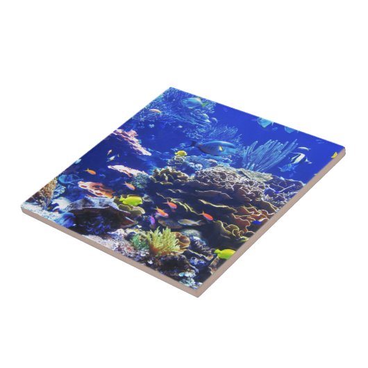 Tropische vis tegeltje (Zijkant)