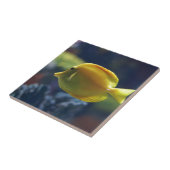 tropische vis tegeltje (Zijkant)