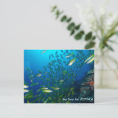 Tropische vis van het Briefkaart van het koraalZee (Staand voorkant)