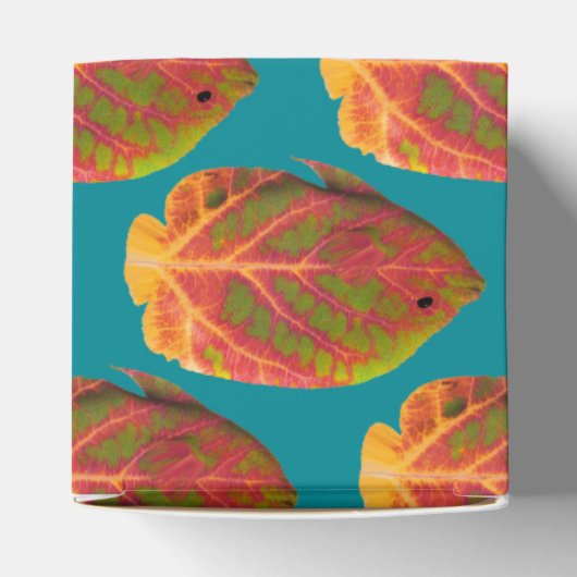 Tropische vis van het esp bedankdoosjes (Bovenkant)