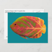 Tropische vis van het esp briefkaart (Voorkant / Achterkant)